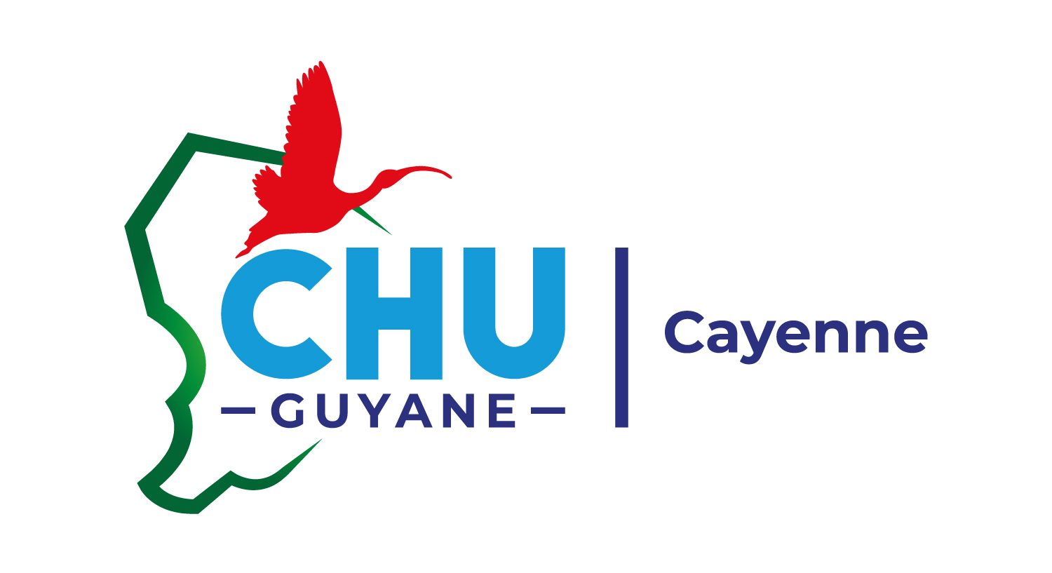 Logo Centre Hospitalier de Cayenne Andrée Rosemon